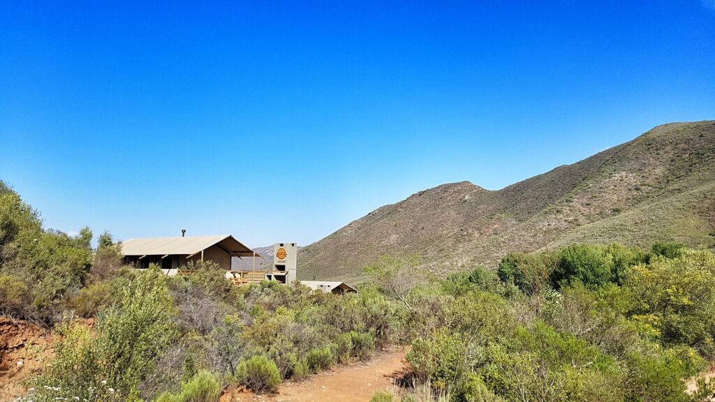 What Is “Glamping” at Coachella?